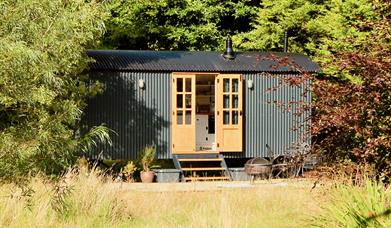 Curlew Hut in late summer