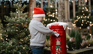 young boy posting his Santa Letter wearing a Santa Hat and surrounded by Christmas trees and warm lights