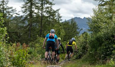 MTB