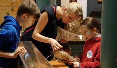 Irish Linen Centre & Lisburn Museum