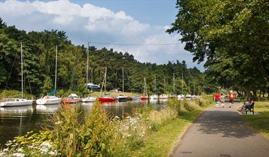 Families on a riverside path with many docked boats.