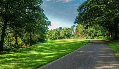 Lurgan Park