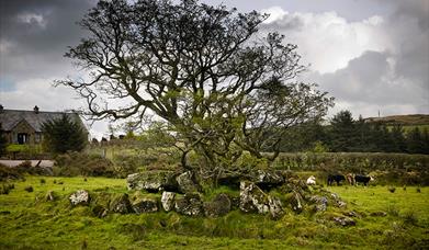 Loughmacrory Wedge Tomb