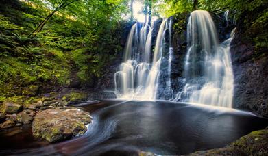 Glenariff Forest Park