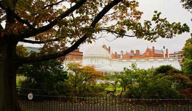 Belfast Botanic Gardens and Palm House