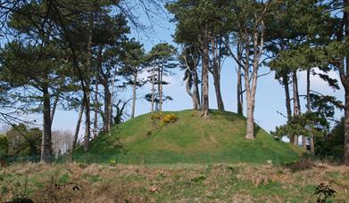 Shandon Park Mound