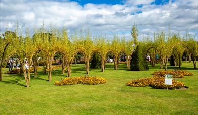 Bangor Castle Walled Garden