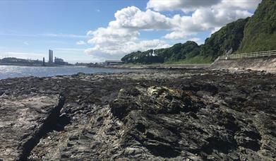 Larne's Jurassic Coastline - Waterloo Bay