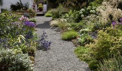 A gravel path leading to a cottage decorated with an abundance of flowers.