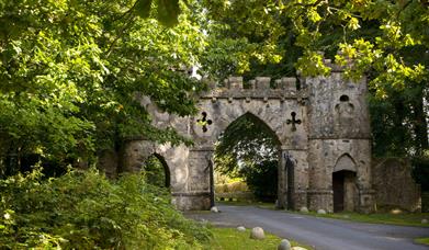 Tollymore Forest Park
