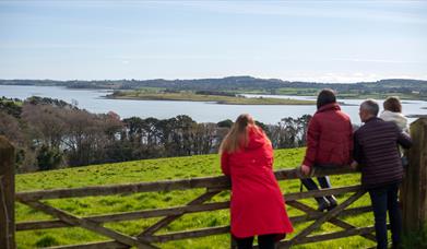 Family standing over a gate looking at the fabulous view of the Islands on Strangford Lough, from Grey Point Lookout at Delamont Country Park.