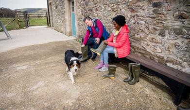 Visitors to Dunfin Sheep Farm get dressed in wellington boots and jackets suitable for being out in the fields