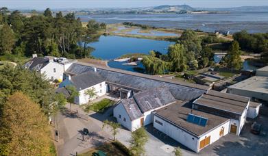 Aerial view of WWT Castle Espie wetland centre