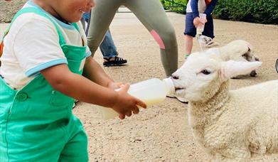 bottle feeding fort evergreen