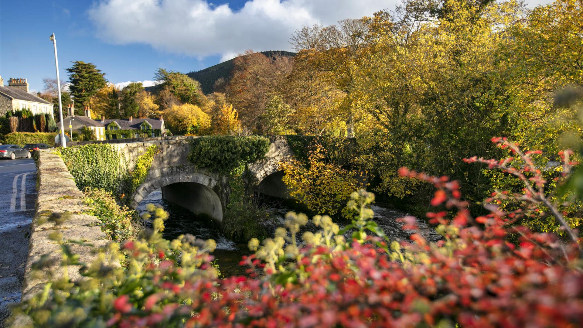 The colours of autumn create a picturesque scene in Rostrevor, County Down