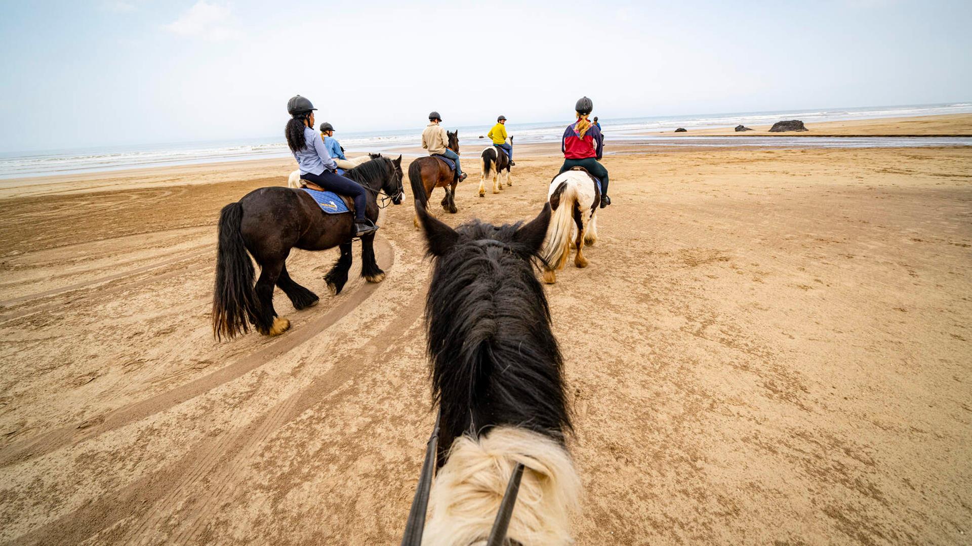 Group enjoying a gentle horse ride on Downhill Beach