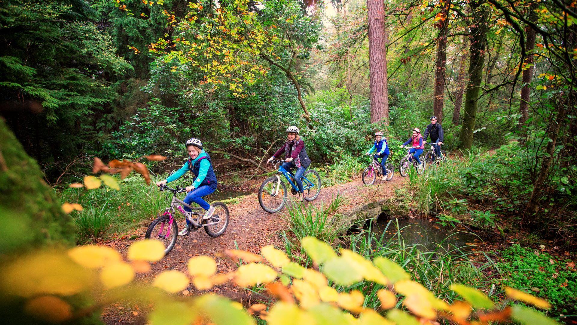 Family cycles through autumnal forest at Blessingbourne Estate