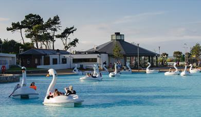 Photo of people enjoying rides on the Giant Swans pedal boats on the blue waters of the man made pond at Pickie Funpark