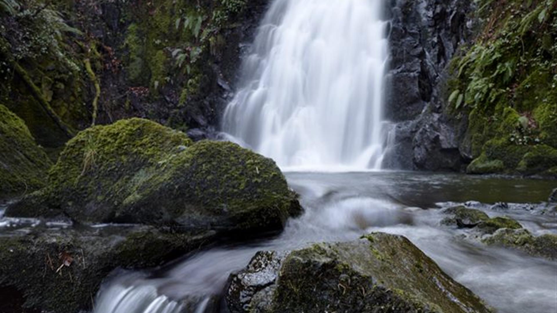 Glenoe Waterfall Gleno Discover Northern Ireland