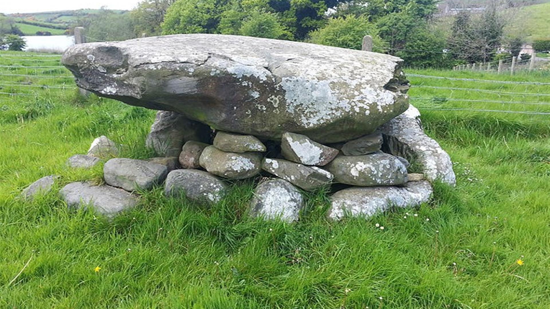 A large circular cairn located in a field overlooking Loughinisland Churches