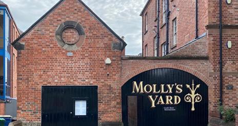 Molly's Yard