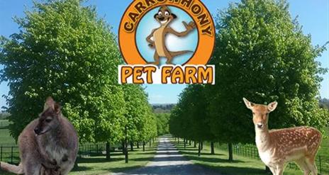 Carrowhony Pet Farm