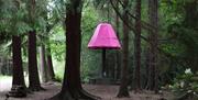 An image of Power Up. This large lamp has a pink top with pedals below at the base, it forms part of the Digital Sculpture Trail set within the forest