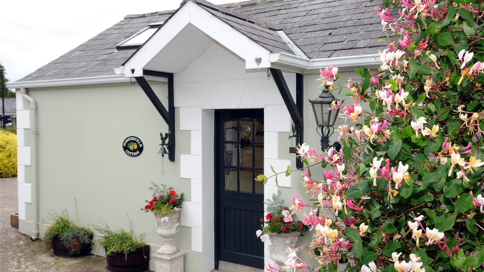 Images shows front door of cottage with hedge and flowers to the left of it.