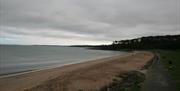 a photograph of a sandy beach