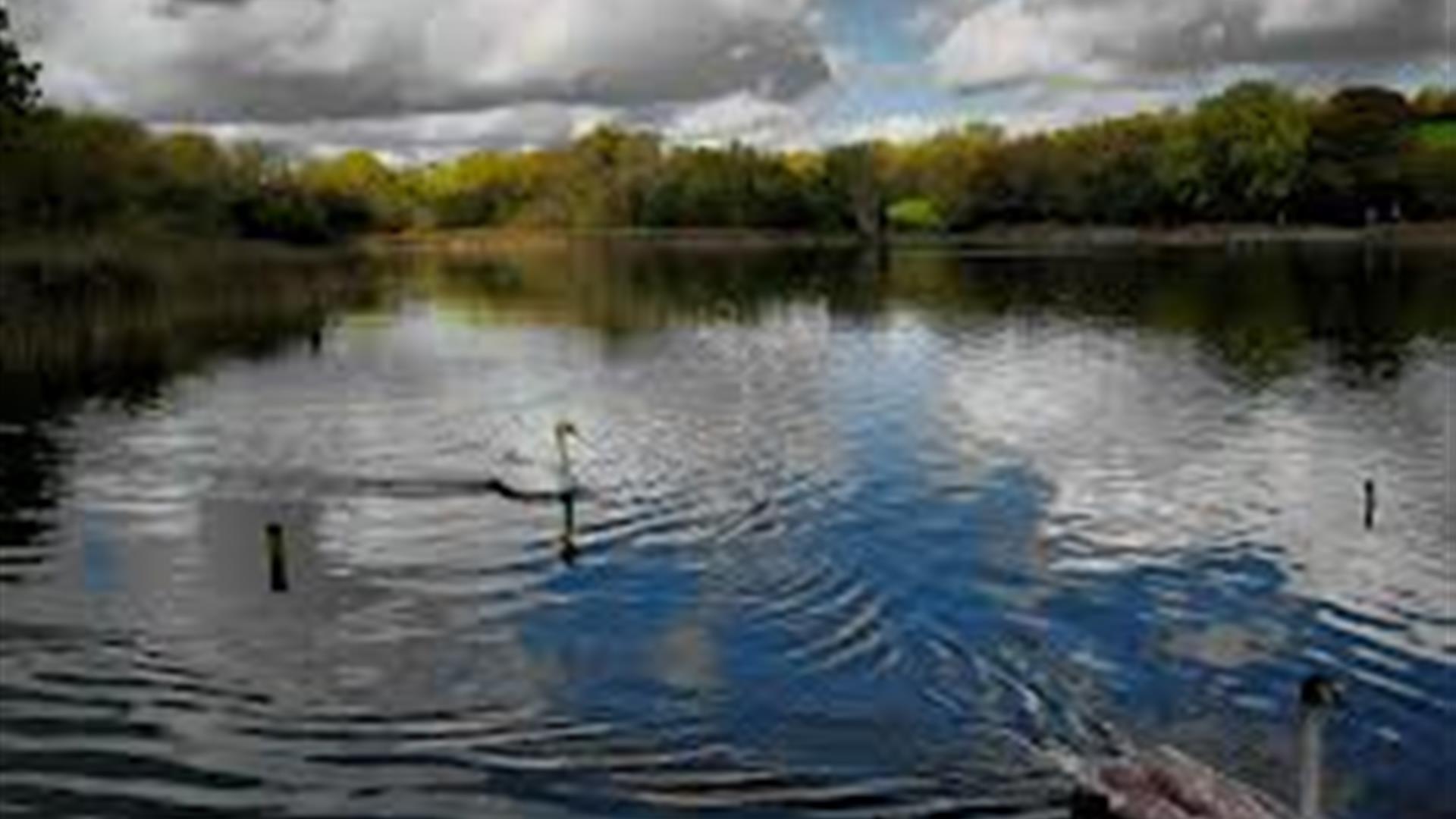 Donaghaguy Reservoir