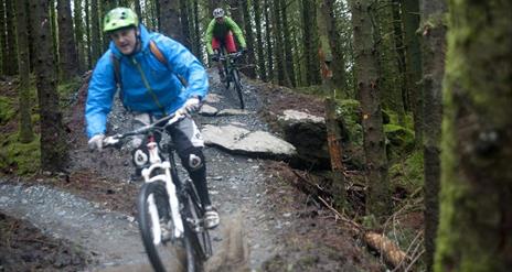 Davagh Forest Mountain Bike Trails