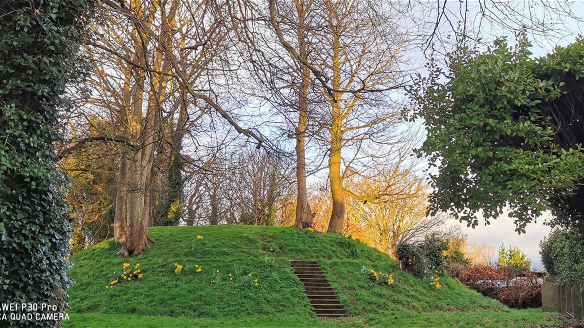 a photograph of the motte surrounded by some trees