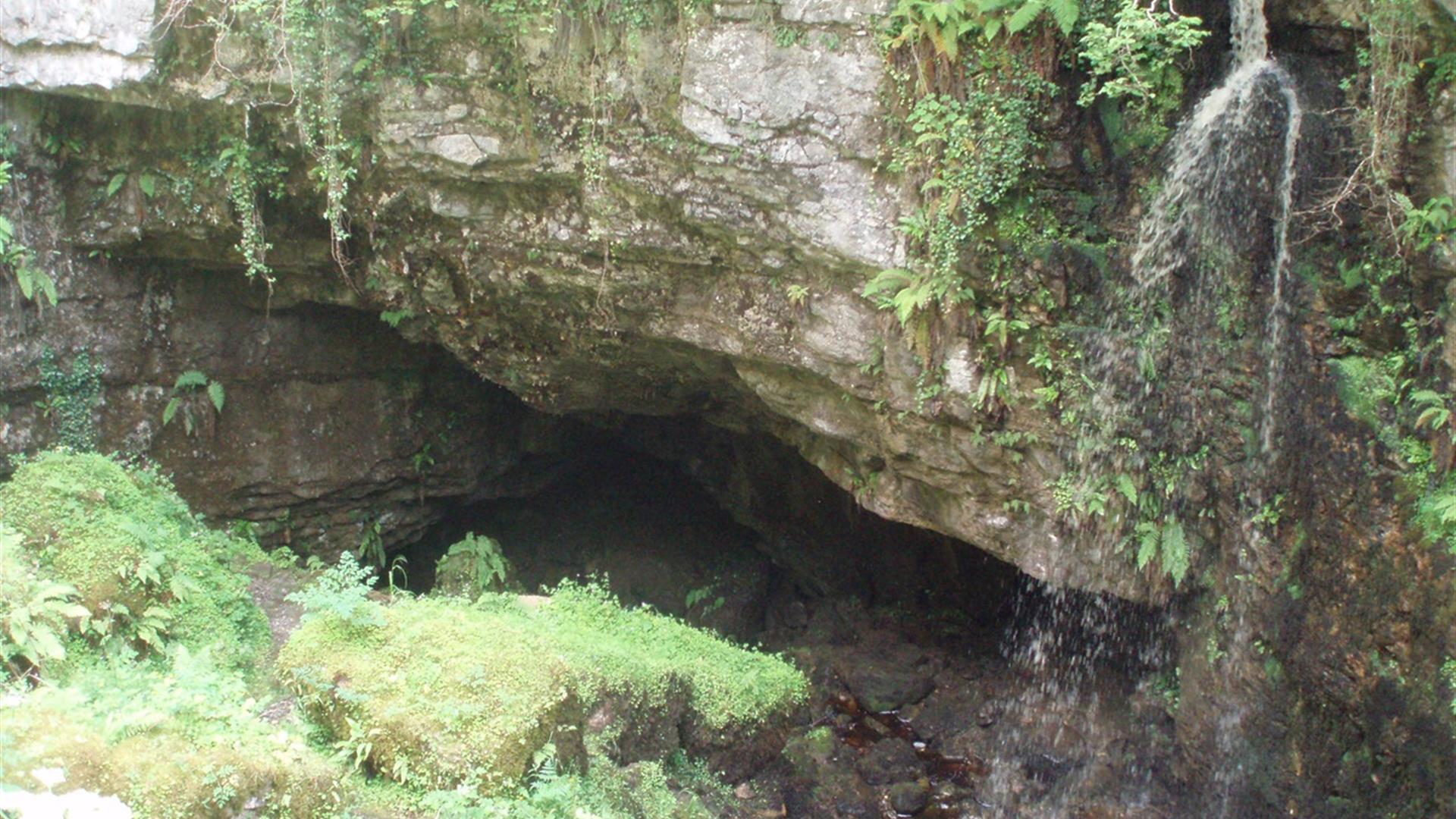 Belmore Forest: Pollnagollum Cave Walk