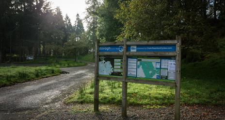 Davagh Forest Green Trail
