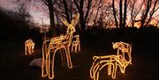 a photograph of lightup sculptures of deer