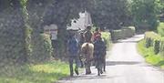 Image is of 2 riders on a country lane with 2 people walking behind them