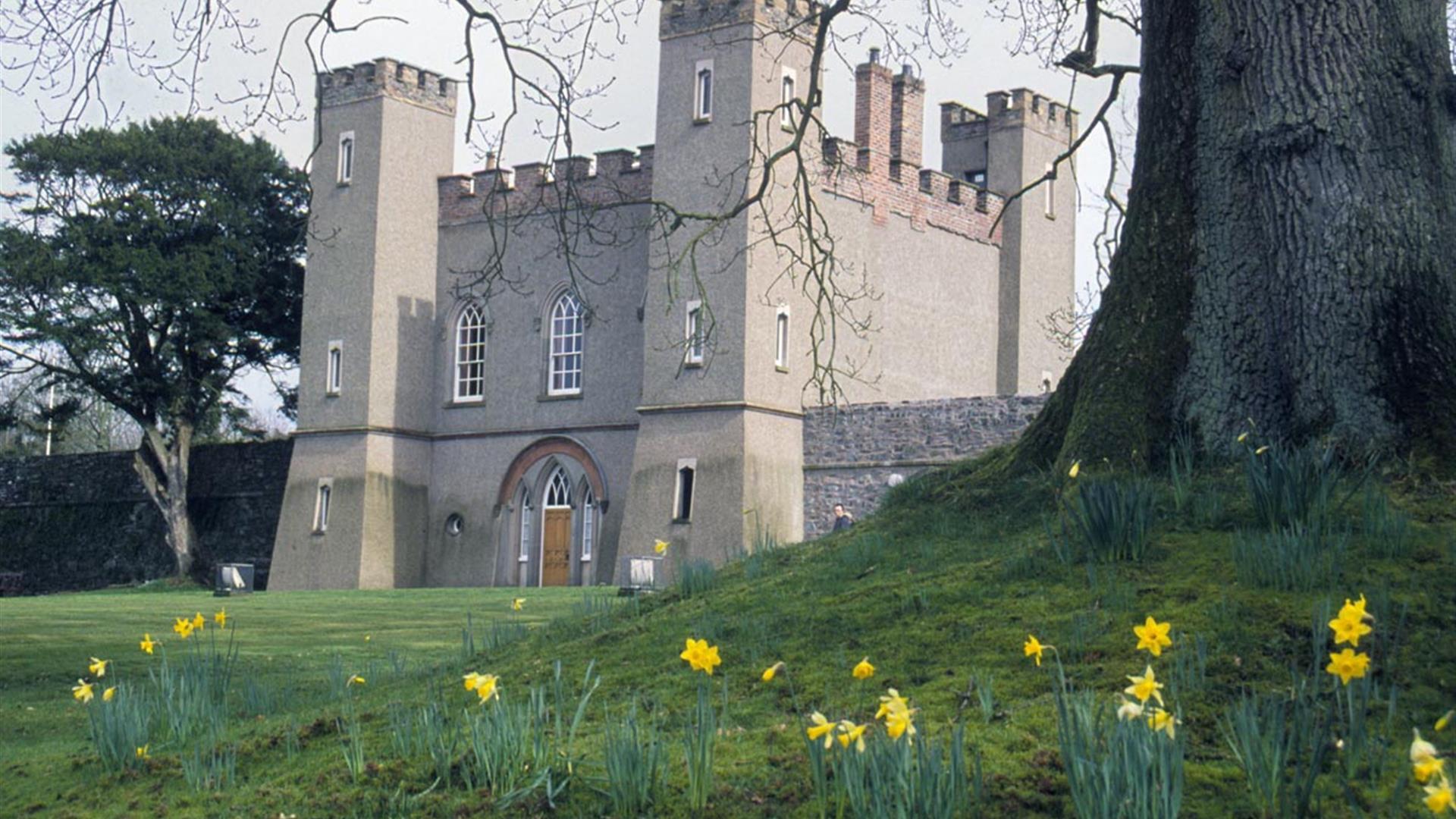 Image is of the Fort with a large tree and daffodils in the foreground
