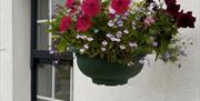 Outside hanging basket with pretty flowers