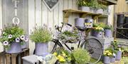 Outside decorated area of garden centre showing bicycle and potted plants