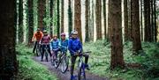 Family enjoy a cycle through woodlands at Gosford Park
