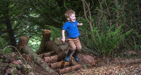 Photo of little boy in blue top and brown trousers jumping off wooden steps onto autumn leaves