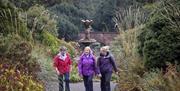 Group of ladies enjoying the Annesley Garden walk in Castlewellan Forest Park