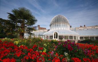 Belfast Botanic Gardens and Palm House