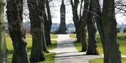 Tree lined avenue in Castle Gardens leading up to memorial