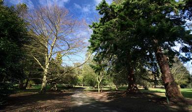 Photo of walkway through leafy Castle Park