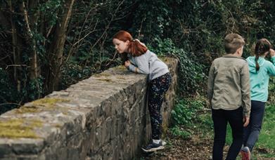 A child looking over a stone wall, with two other children 