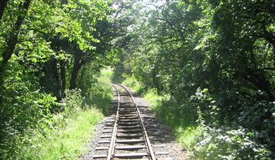 Giant's Causeway and Bushmills Railway
