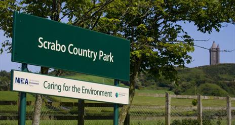 Image of the NIEA signpost entitled Scrabo County Park, caring for the environment with Scrabo Tower in background