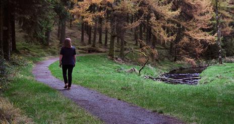 A woman walking along a path in Davagh Forest.