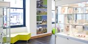 Retail area with stock in glass display cabinets, white walls showing local photographs, windows with blue frames and a green sofa